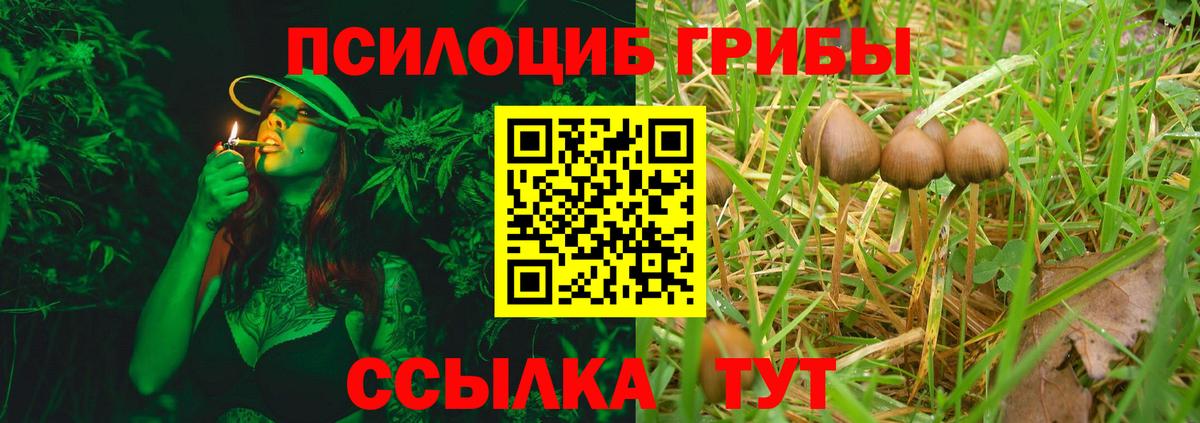 Керчь  Псилоцибиновые грибы Psilocybe  Вход с VPN 
