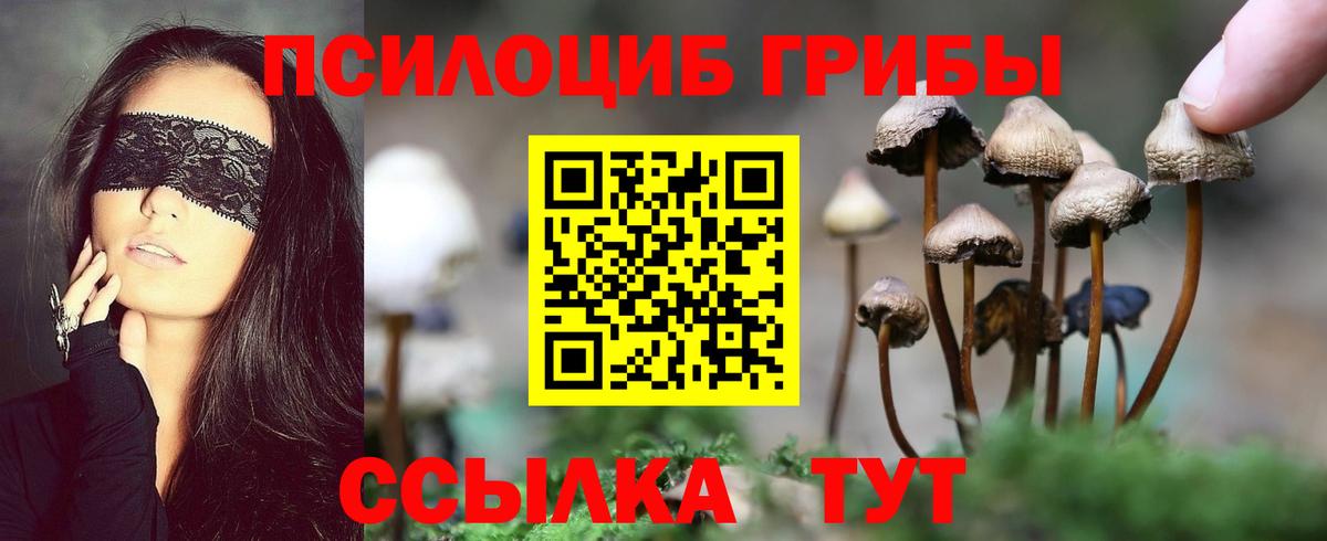 Галлюциногенные грибы Psilocybe Керчь